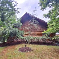 Swedish Cope Log Cabin Staining In Ellijay GA 3